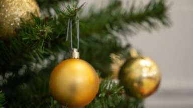 gold holiday ornaments on green tree limbs