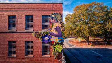 Mural shows a young girl smelling a flower with 3D flowers around her.