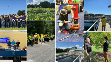 End of the Year picture collage of employees