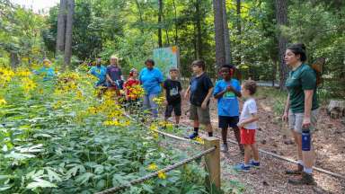 kids walking through a garden