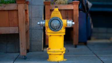 Image of a Yellow Fire Hydrant