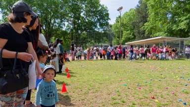 eggs in a field with kids gearing up to collect them with baskets