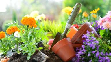 flowers in the garden with little pots and a trowel