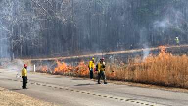 a controlled prescribed burn at a park
