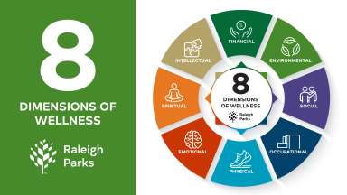 a diagram with the 8 dimensions of wellness on a wheel with icons - financial, environmental, social, occupational, physical, emotional, spiritual, intellectual