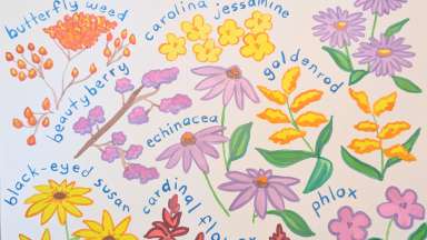 Mural of wildflower drawings