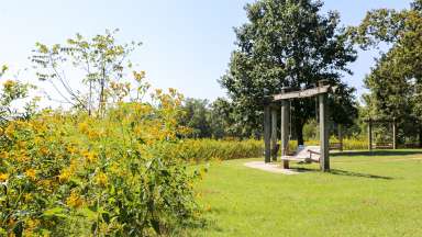 A variety of shrubs and plants surrounding swinging chairs