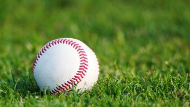 a closeup of a white baseball on green grass