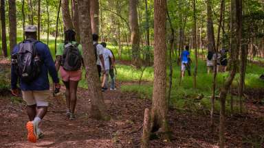 a group of people hiking in the forest
