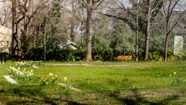 the field at Latta University Historic Park