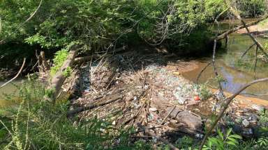 Trash Pollution