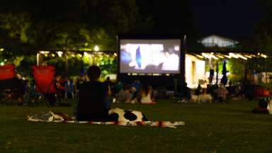a person and their dog watching a movie on a lawn