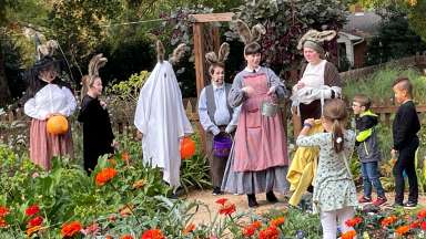 A group of actors and young people in a garden wearing peter rabbit costumes.