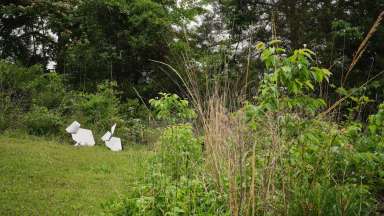 2 metal art bunnies sitting on grass