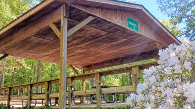 a picnic shelter of tables with benches surrounded by white flowers