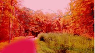 A horizontal photograph of a hyper pink and gold colored landscape with a person on a path located in the center.