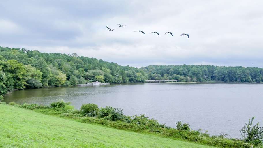 Shelley Lake Park