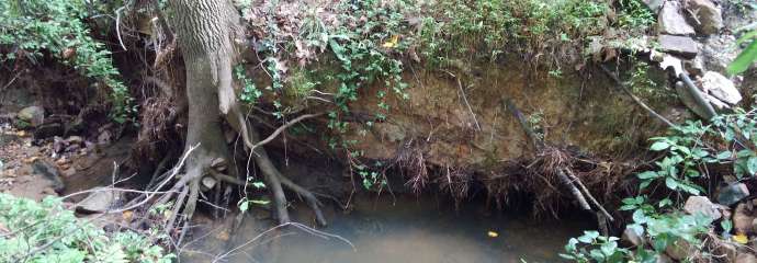 edgeale drive eroded stream