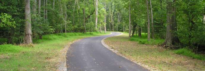 Paved trail winding through trees.