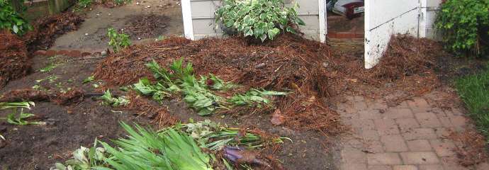 A yard with debris and plants washed over after flooding to a yard on Dresden Lane