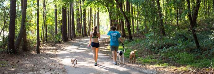 Two people walking their dogs along a greenway trail