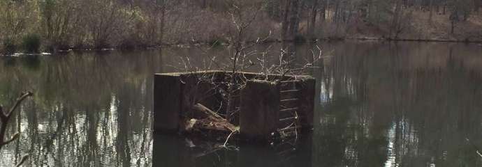 Lake with dam that has branches and brush built up blocking it