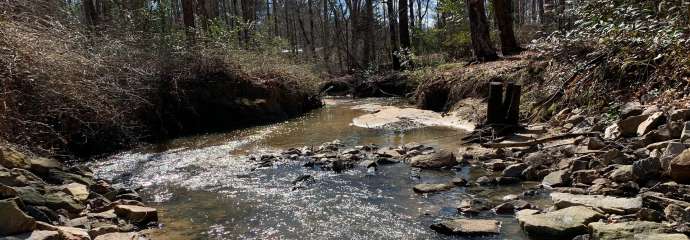 Water flowing in Hare Snipe Creek in Raleigh