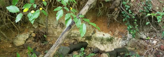 An eroded stream at a property on Hunting Ridge Road.