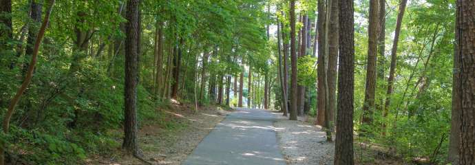 tree lined paved trail