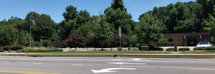 Trees on Martin Luther King Jr Boulevard