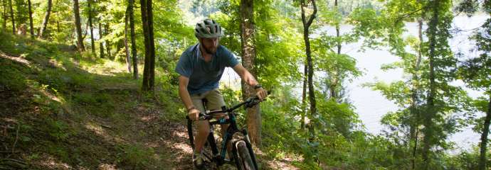 A man mountain biking in a forest.