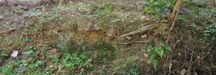 Brookside Drive Streambank Erosion