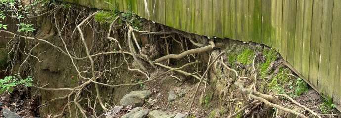 Birchford Court Erosion