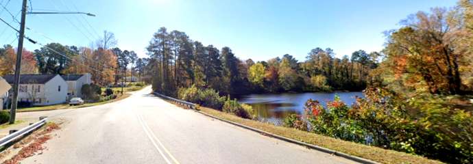 carolina pines