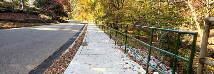 sidewalk and handrail