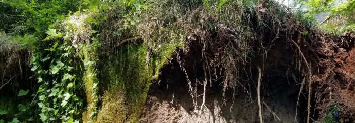 Stacy Street Erosion