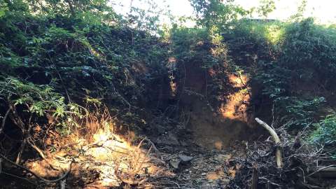 dixie trail erosion