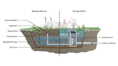 A rendering of the plants, soil, pipes of the wetland on Peterson Street