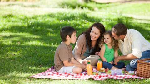 Family having picnic in park on blanket