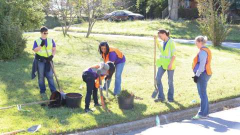 Park volunteers planting trees