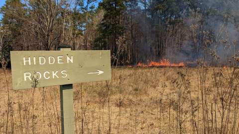 Field Burning at Wilkerson Nature Preserve