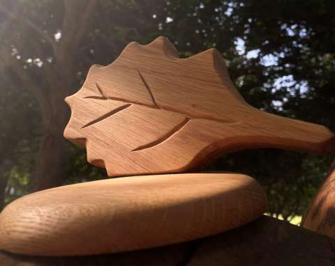 Photo of Environmental Awards wooden oak leaf trophy