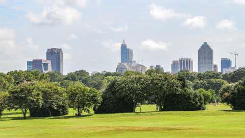 the skyline of Raleigh on a sunny day from Dix Park