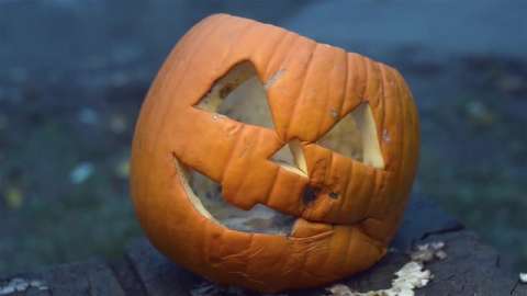 Jack-o-lantern rotting