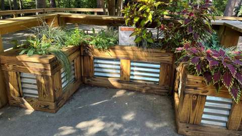 a sensory smell and touch garden