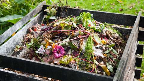 A compost bin full of food scraps, flowers, and yard waste sits in a yard. 