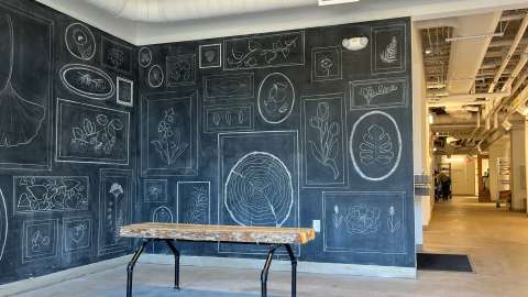 Black chalk board wall with white line drawings of frames with a variety of pictures.