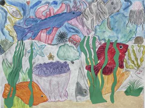Caroline Gentile_The Wondrous Ocean of Eloquence