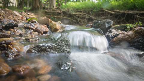 a beautiful stream running over smooth rocks with lush green plants in the background