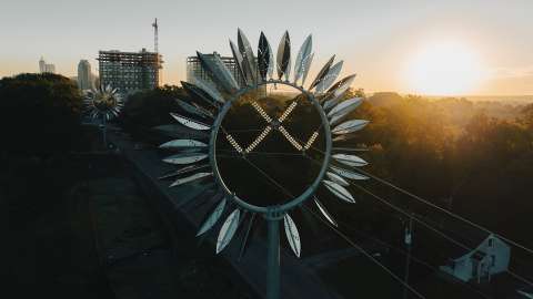 Sunflower Power Poles
